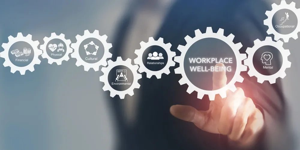 The Business Case for Thriving: How Our 12-Week Corporate Wellbeing Program Transforms Productivity and Workplace Satisfaction