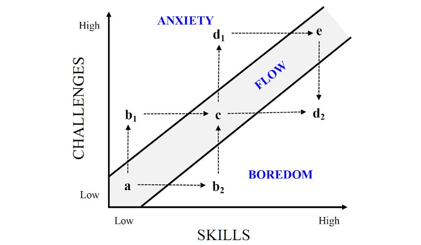 Introduction to the 12-Week Flow Training Program for Skill Acquisition